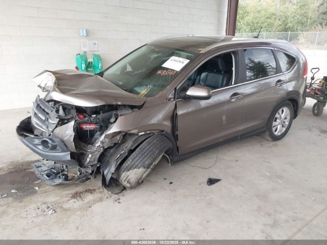2013 HONDA CR-V 5J6RM4H76DL010616 Photo 1