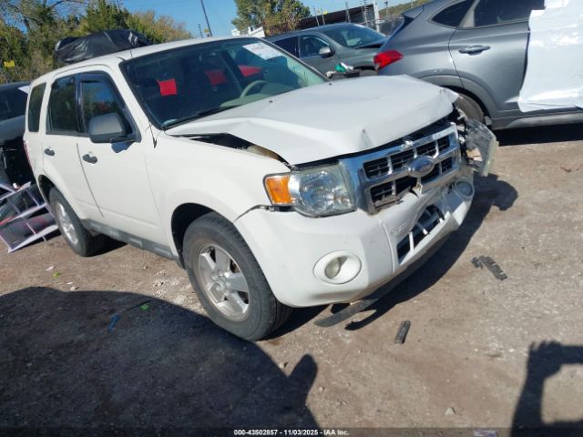 2009 FORD ESCAPE 1FMCU02789KD04279