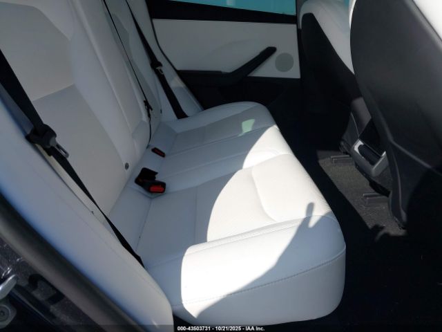 2025 TESLA MODEL 3 5YJ3E1EA9SF970388 Photo 7