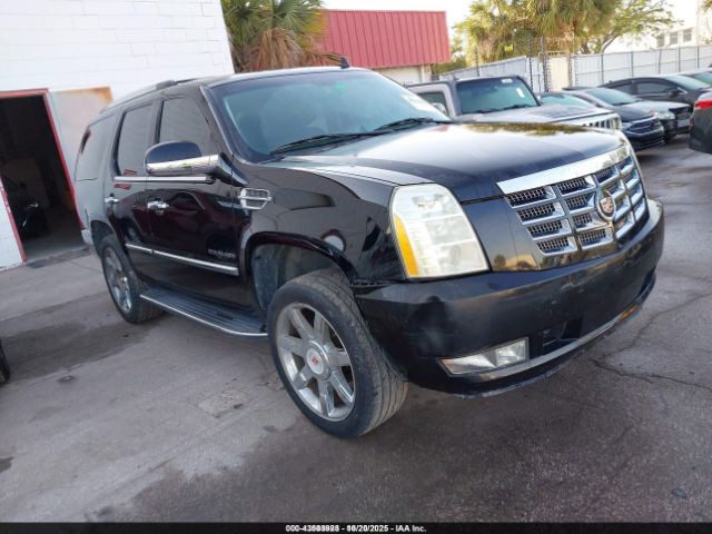 2013 CADILLAC ESCALADE 1GYS3BEF0DR200347
