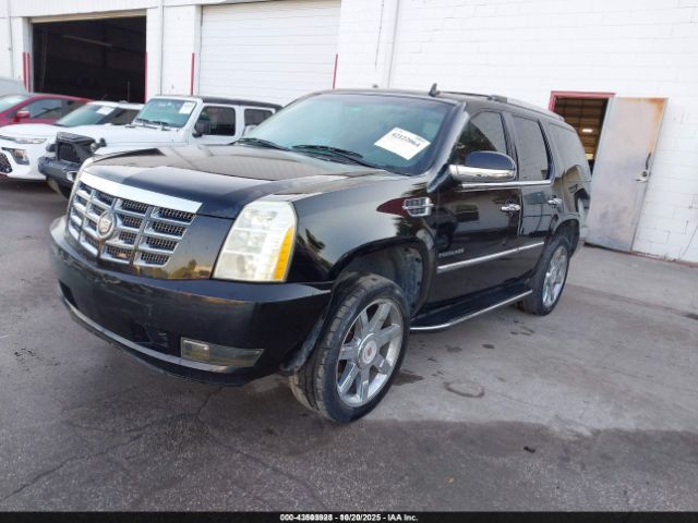 2013 CADILLAC ESCALADE 1GYS3BEF0DR200347 Photo 1