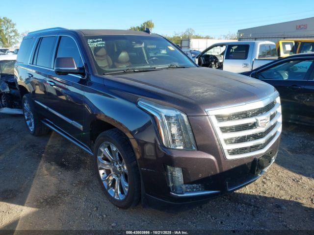 2015 CADILLAC ESCALADE 1GYS4NKJ9FR698610