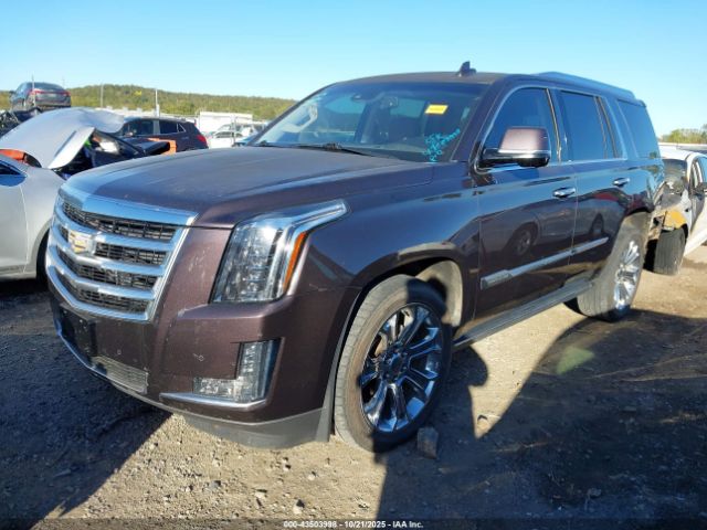 2015 CADILLAC ESCALADE 1GYS4NKJ9FR698610 Photo 1