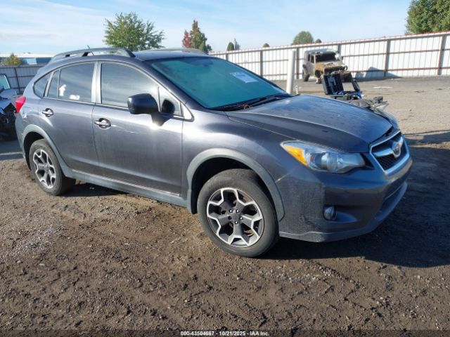 2013 SUBARU XV CROSSTREK JF2GPAGC6D2901790
