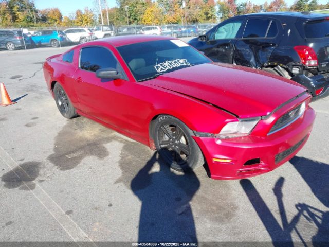 2013 FORD MUSTANG 1ZVBP8AM1D5209757