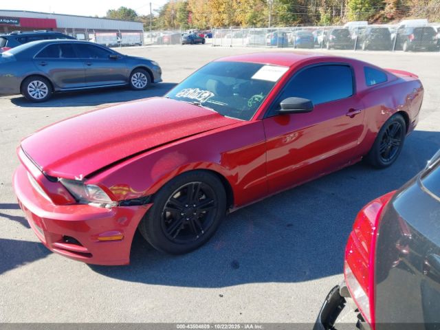 2013 FORD MUSTANG 1ZVBP8AM1D5209757 Photo 1