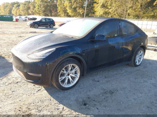 2021 TESLA MODEL Y 5YJYGDED7MF106065 Photo 1