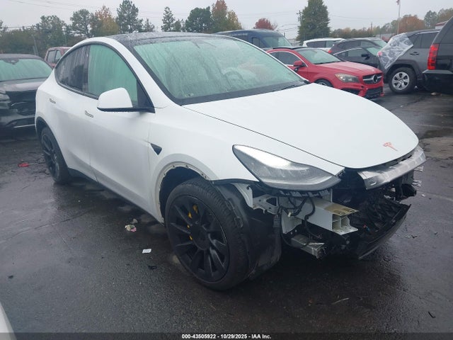 2020 TESLA MODEL Y 5YJYGDEE7LF017958 Photo 0