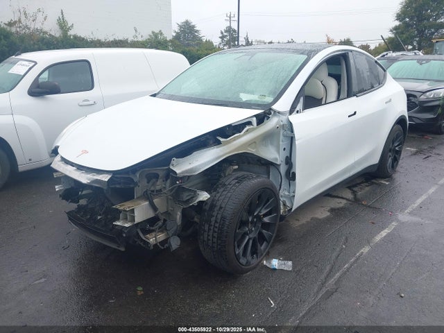 2020 TESLA MODEL Y 5YJYGDEE7LF017958 Photo 1