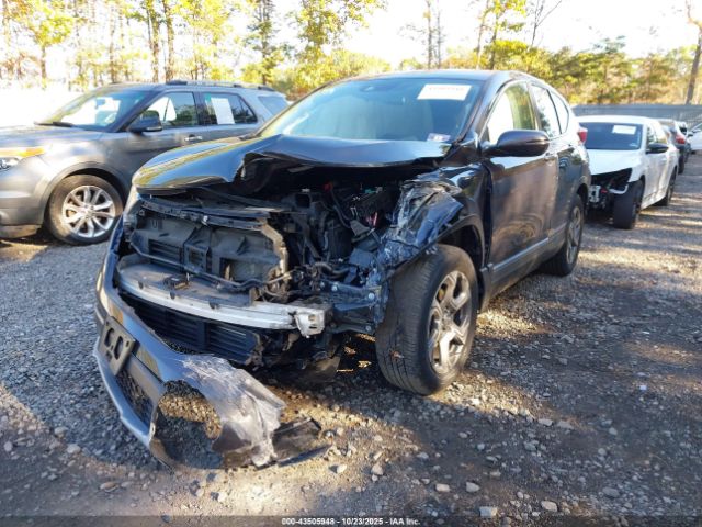 2019 HONDA CR-V 5J6RW2H55KA005106 Photo 1
