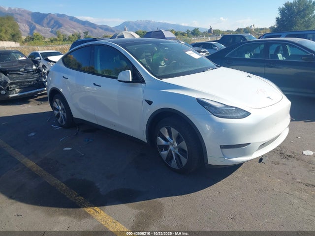 2023 TESLA MODEL Y 7SAYGDEE3PF603839 Photo 0