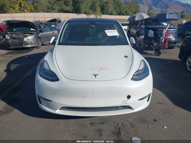 Tesla Model Y 2023 7SAYGDEE3PF603839 Image 12