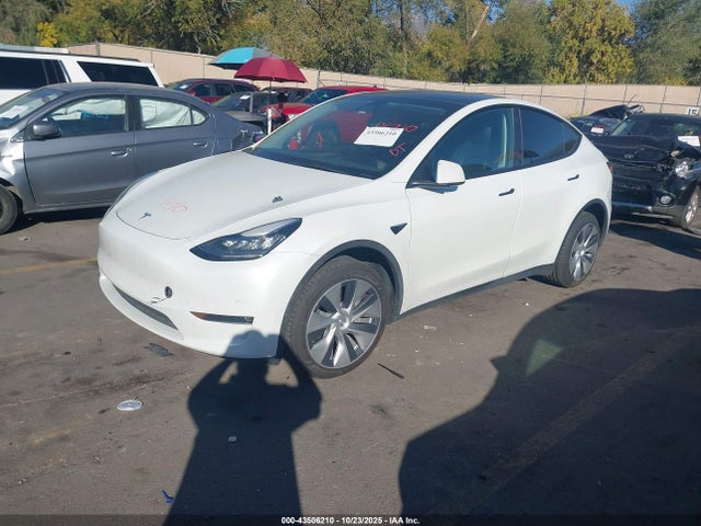 2023 TESLA MODEL Y 7SAYGDEE3PF603839 Photo 1