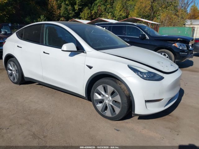 2022 TESLA MODEL Y 7SAYGDEE7NF368293 Photo 0