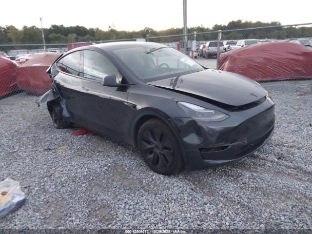 2025 TESLA MODEL Y 7SAYGDEE7SF307215