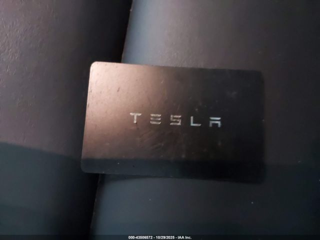 2025 TESLA MODEL Y 7SAYGDEE7SF307215 Photo 10