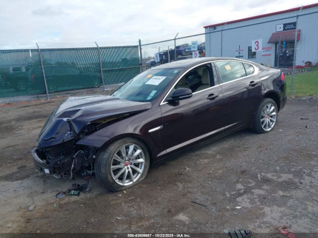 2015 JAGUAR XF SAJWA0FS7FPU66834 Photo 1