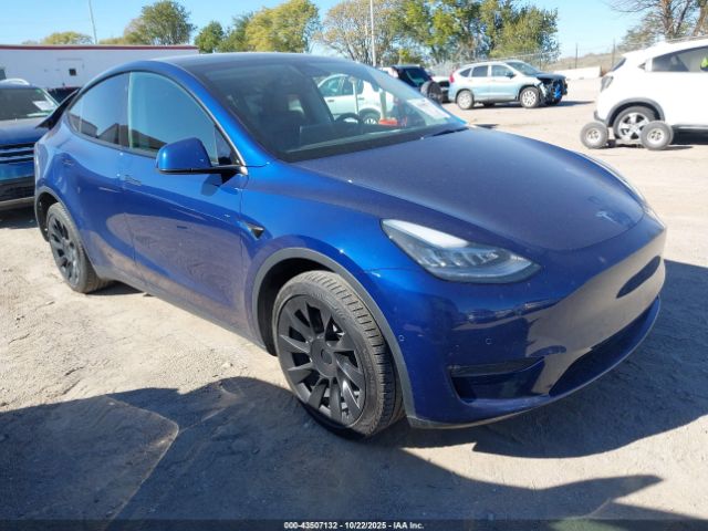 2021 TESLA MODEL Y 5YJYGDEE4MF254523