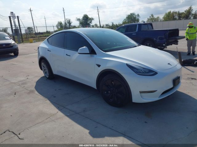 2021 TESLA MODEL Y 5YJYGDEE2MF174296 Photo 0