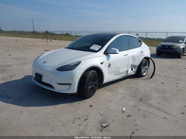 2021 TESLA MODEL Y 5YJYGDEE2MF174296 Photo 1