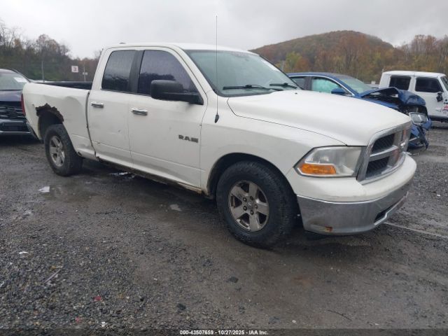 2009 DODGE RAM 1500 1D3HB18P59S802038