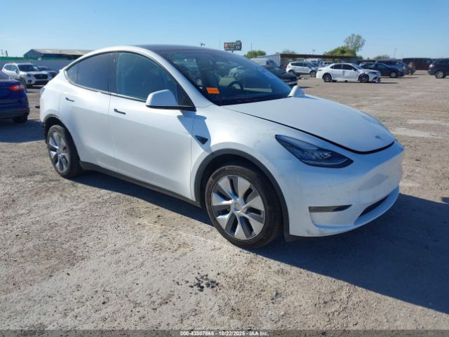 2023 TESLA MODEL Y 7SAYGDEE5PA095404 Photo 0
