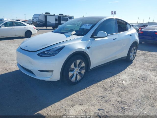 2023 TESLA MODEL Y 7SAYGDEE5PA095404 Photo 1