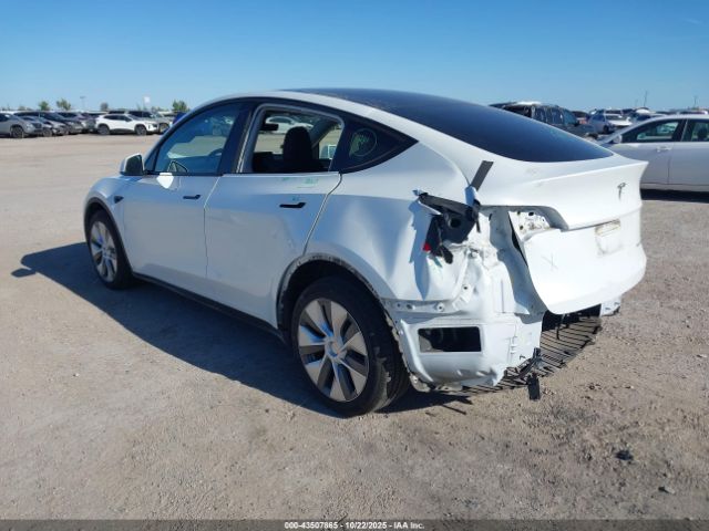 2023 TESLA MODEL Y 7SAYGDEE5PA095404 Photo 2
