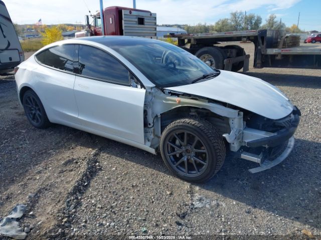 2021 TESLA MODEL 3 5YJ3E1EB7MF998654
