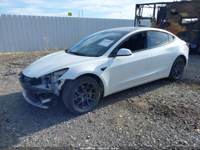2021 TESLA MODEL 3 5YJ3E1EB7MF998654 Photo 1