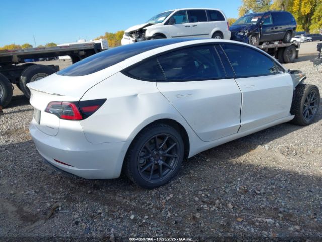 2021 TESLA MODEL 3 5YJ3E1EB7MF998654 Photo 3