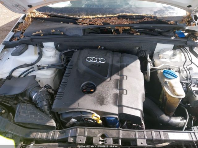 2013 AUDI A4 WAUEFAFL9DN036822 Photo 9