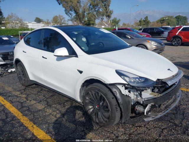2021 TESLA MODEL Y 5YJYGDEE6MF244169 Photo 0