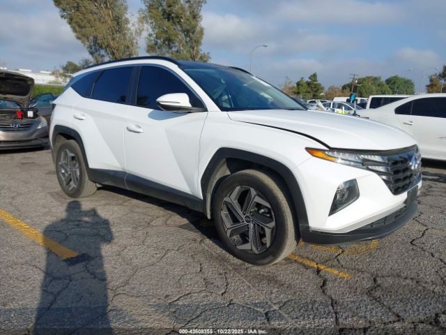 2023 HYUNDAI TUCSON HYBRID KM8JFCA17PU104981