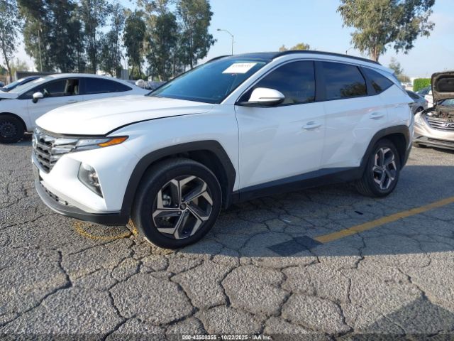 2023 HYUNDAI TUCSON HYBRID KM8JFCA17PU104981 Photo 1