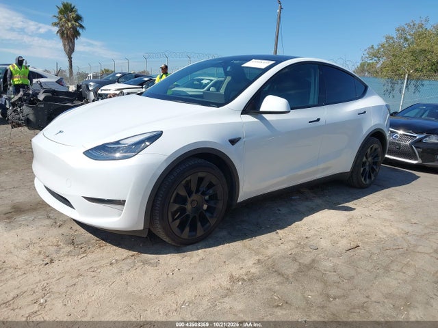 2023 TESLA MODEL Y 7SAYGDEE9PA070716 Photo 1