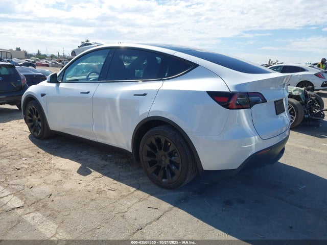 2023 TESLA MODEL Y 7SAYGDEE9PA070716 Photo 2