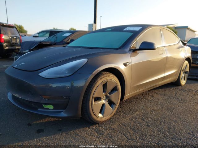 2023 TESLA MODEL 3 5YJ3E1EA9PF631363 Photo 1