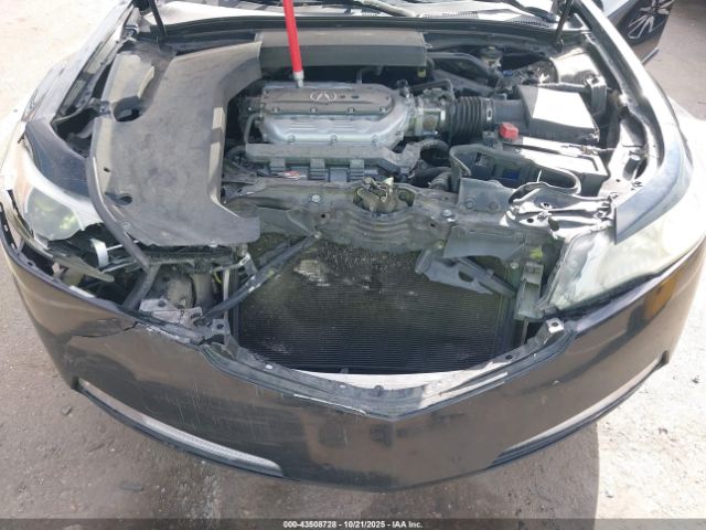 2009 ACURA TL 19UUA86269A026245 Photo 9