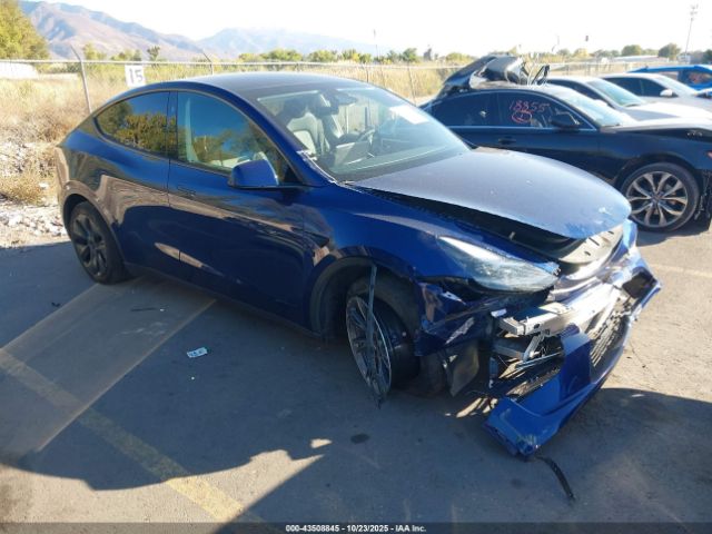 2024 TESLA MODEL Y 7SAYGDEE9RF168005 Photo 0