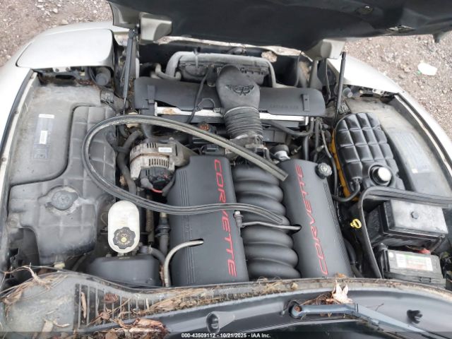 1999 CHEVROLET CORVETTE 1G1YY22GXX5108844 Photo 9