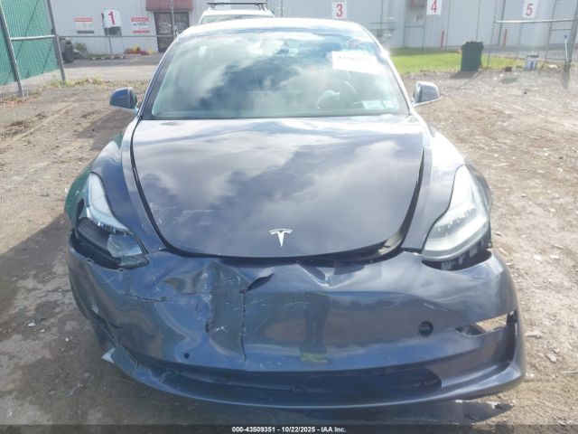 2019 TESLA MODEL 3 5YJ3E1EB6KF392923 Photo 5