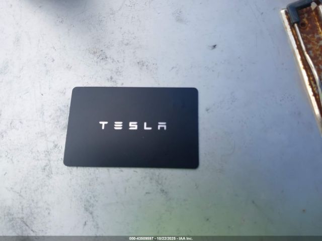 2025 TESLA MODEL 3 5YJ3E1EA2SF017733 Photo 10