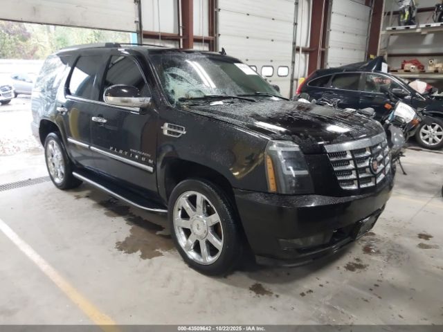 2007 CADILLAC ESCALADE 1GYFK63877R202231 Photo 0