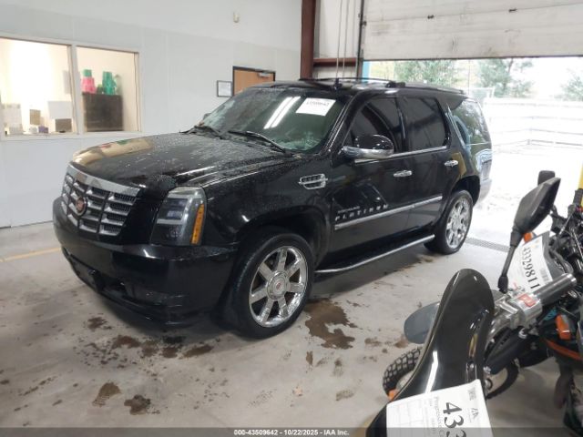 2007 CADILLAC ESCALADE 1GYFK63877R202231 Photo 1