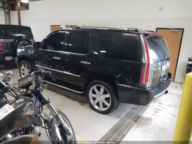 2007 CADILLAC ESCALADE 1GYFK63877R202231 Photo 2