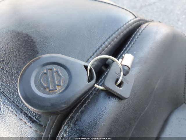 2015 HARLEY-DAVIDSON FLHXS 1HD1KRM13FB678629 Photo 10