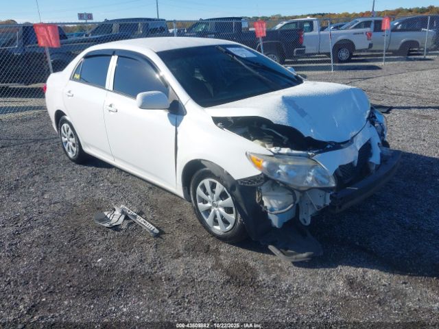 2010 TOYOTA COROLLA 2T1BU4EE1AC260035