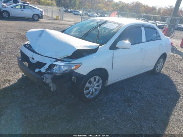 2010 TOYOTA COROLLA 2T1BU4EE1AC260035 Photo 1