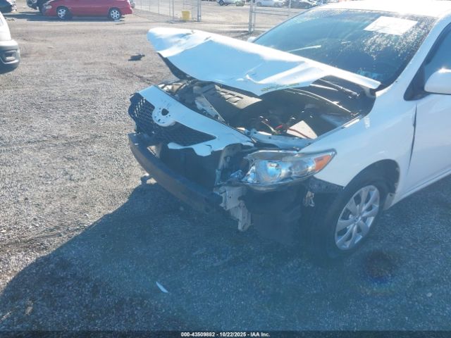 2010 TOYOTA COROLLA 2T1BU4EE1AC260035 Photo 5